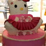 2009_anika2