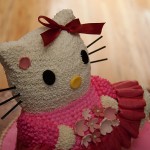 2009_anika3